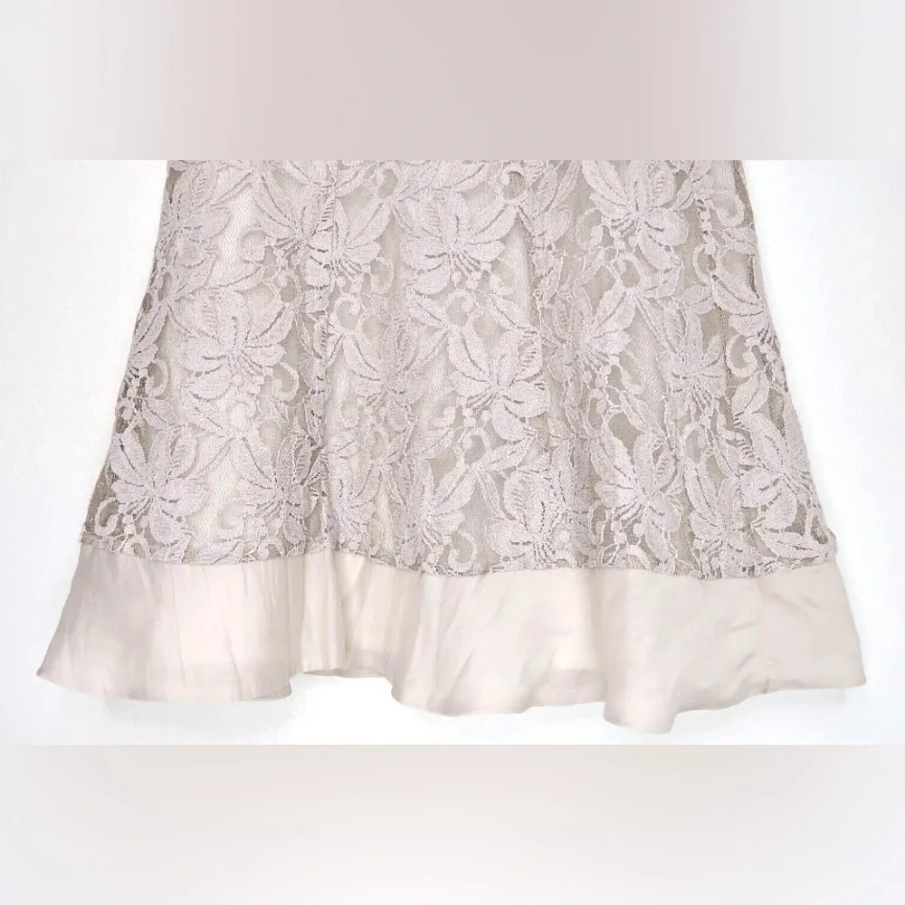 NIC+ZOE Hairloom Flowers Lace Lined A Line Skirt Womens Small Gray Knee Length